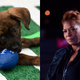 Illustration for article titled Puppies bowl, iThe Equalizer/i equalizes, and there’s a football game on